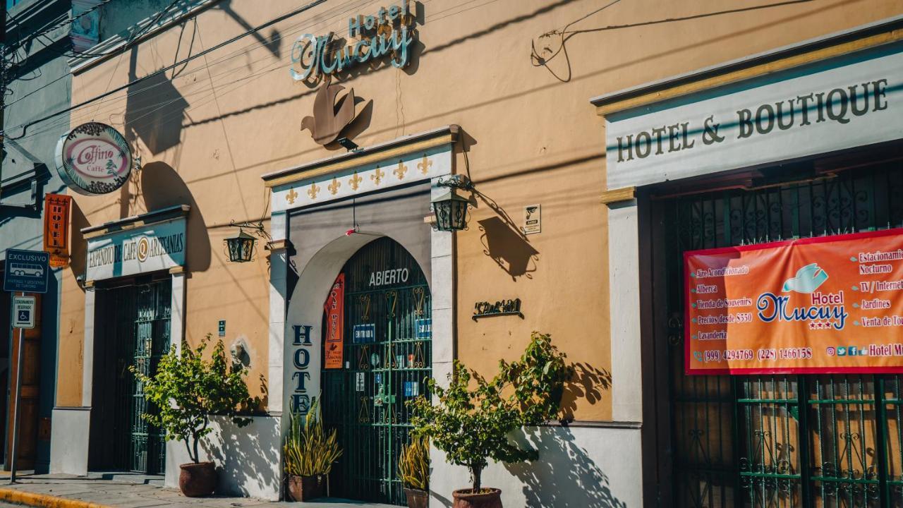 Hotel Mucuy Mérida Extérieur photo
